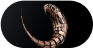 Vixan – Creative Agency